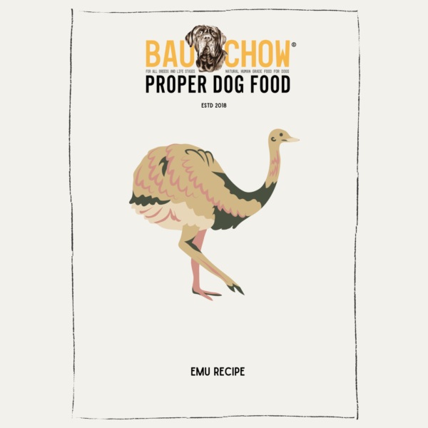 Obesity Support - Emu