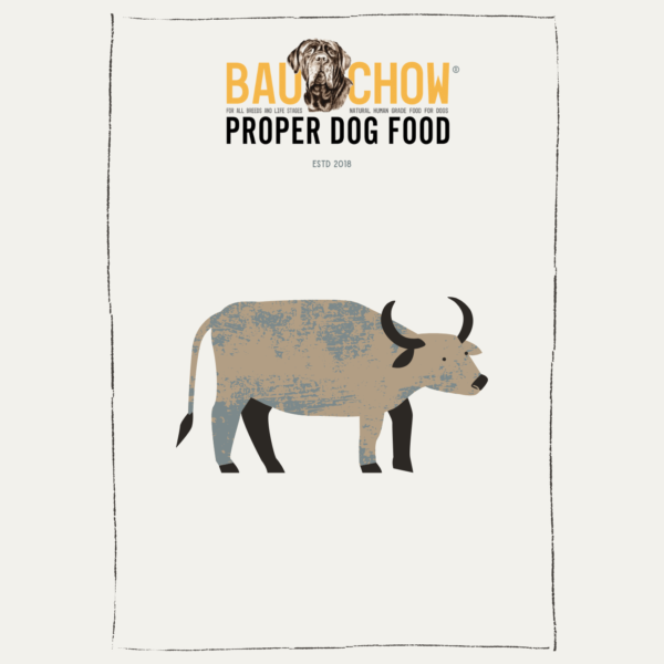 Obesity Support - Buff