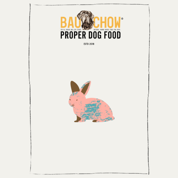 Gastrointestinal Support - Rabbit