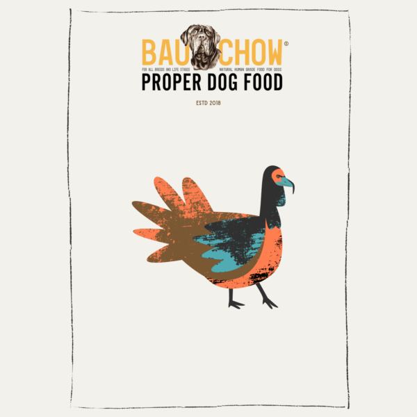 Obesity Support - Turkey