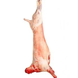 Lamb Meat